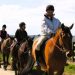 Horsessence: turisti (equestri!) per Fise
